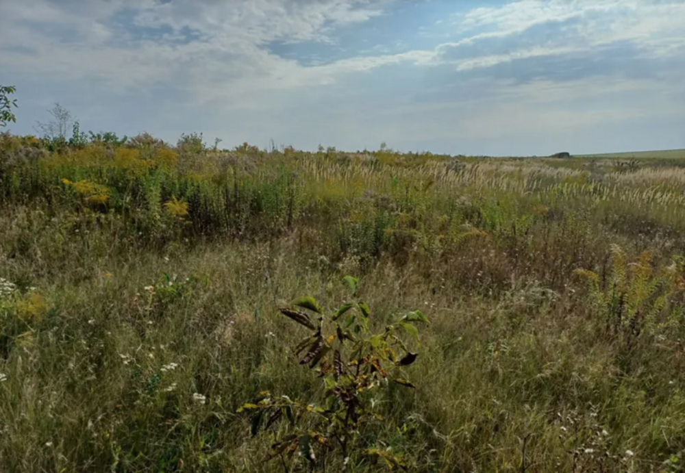 Продаж земельної ділянки 10 соток Байківці - фото 5