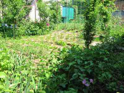 Продаж комерційне приміщення на ул. Успенская, 48 приміщень - 4, поверх - 1 Odessa