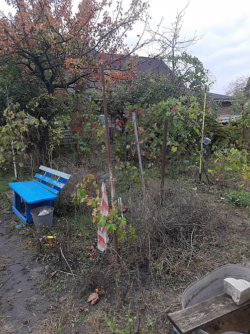 Половина будинка. Окремий двір. Кропивницький - фото 7