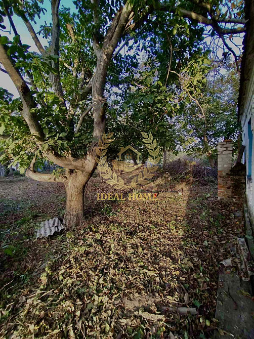 Продається будинок в Юшківому Розі  - фото 13