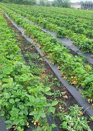 Продаж комерційне приміщення на ул. Молодіжна, 5 приміщень - 1, поверх - 1 Rozdil'na