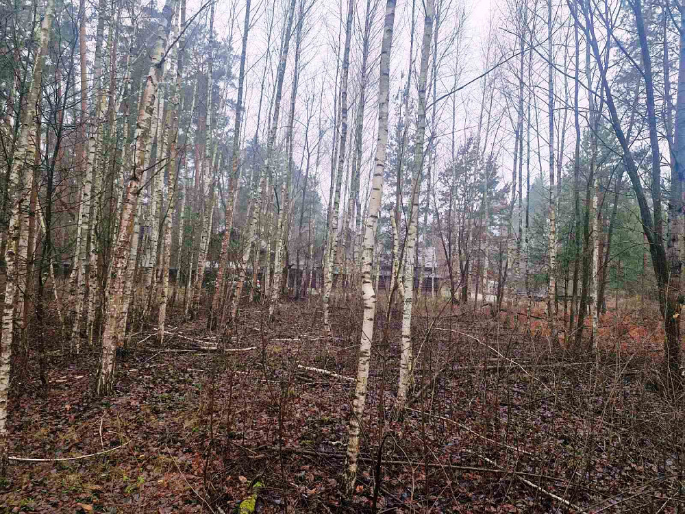 Продаж земельної ділянки 24 соток  - фото 4