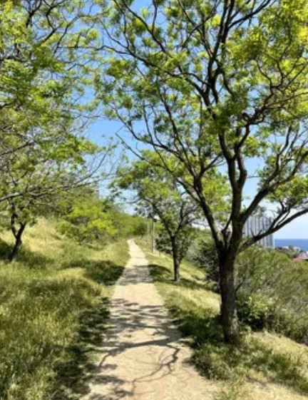 3-х комн. квартира на Фонтане -ЖК 35 Жемчужина- Белый Парус Одеса - фото 18