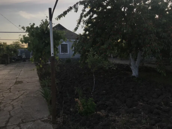 Продам дом в Буялыке (63 км от п.Котовского) Мала Петрівка