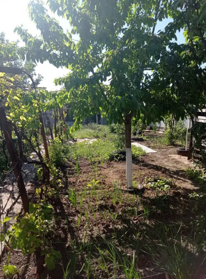 Продам дом в Светлом (Старые Дачи) Світле - фото 13