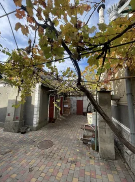 Продаж Будинок 3-кімнатний на ул. Торгова, 4 Pershotravneve (Izmailskyi raion) - photo 9