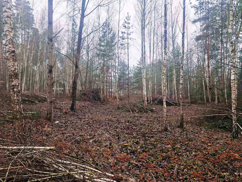 Продаж земельної ділянки 24 соток  - фото 10