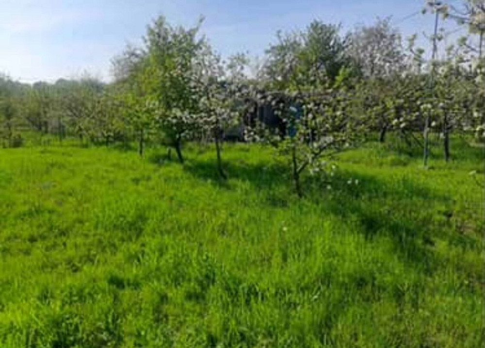 Продаж Будинок на Івано-франківськ, 170 Silets - photo 2