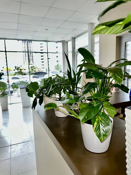 Продам однокомнатную квартиру с ремонтом на Таирова Одеса - фото 15