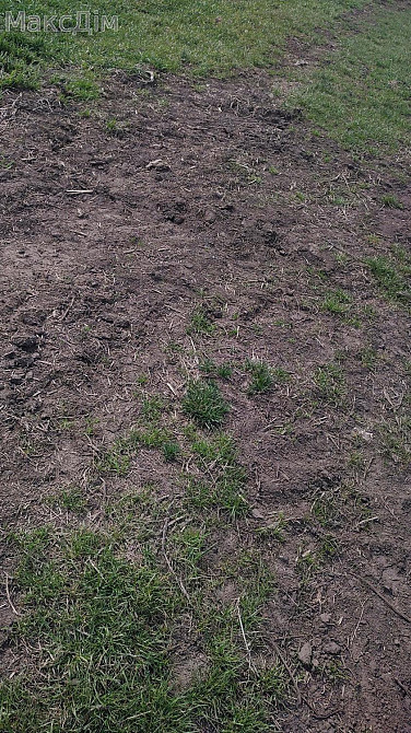 Продаж Будинок на вул. Садова Hrabovets - photo 8