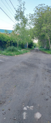 Продаж земельної ділянки 13.2 соток на ул. Цветочная, 29 Доброолександрівка - фото 2