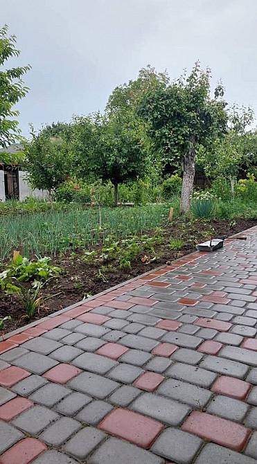 Продаж Будинок Крижопіль - фото 6