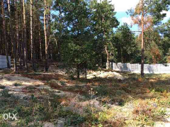 Продаж земельної ділянки 22 соток 