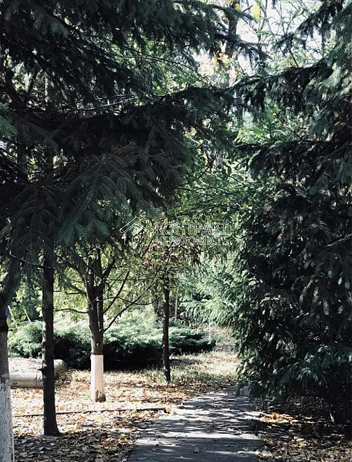 Продаж приміщення вільного призначення на вул. монастирська приміщень - 5, поверх - 1/2  - фото 12