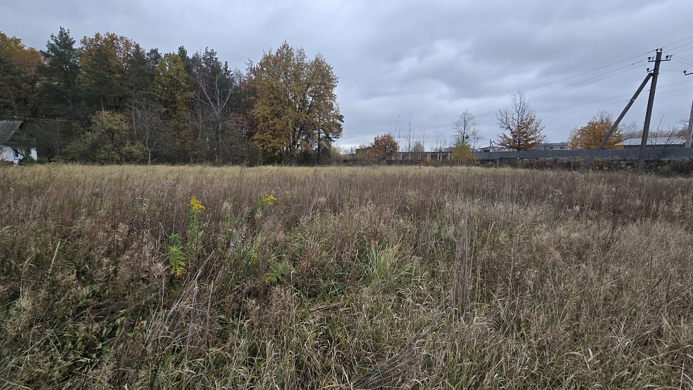 Продаж земельної ділянки 15 соток на Михайла Клименка Ивановка (Баранивський район) - изображение 6