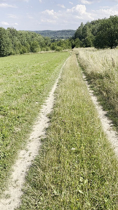 Продаж земельної ділянки 25 соток на Щорса Verbovets - photo 11