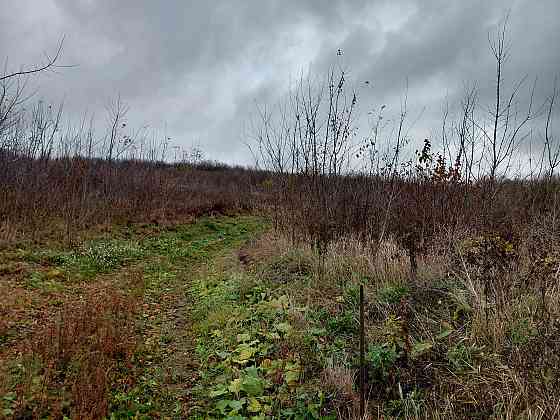 Продаж земельної ділянки 6 соток на вул. Микулинецька Тернопіль