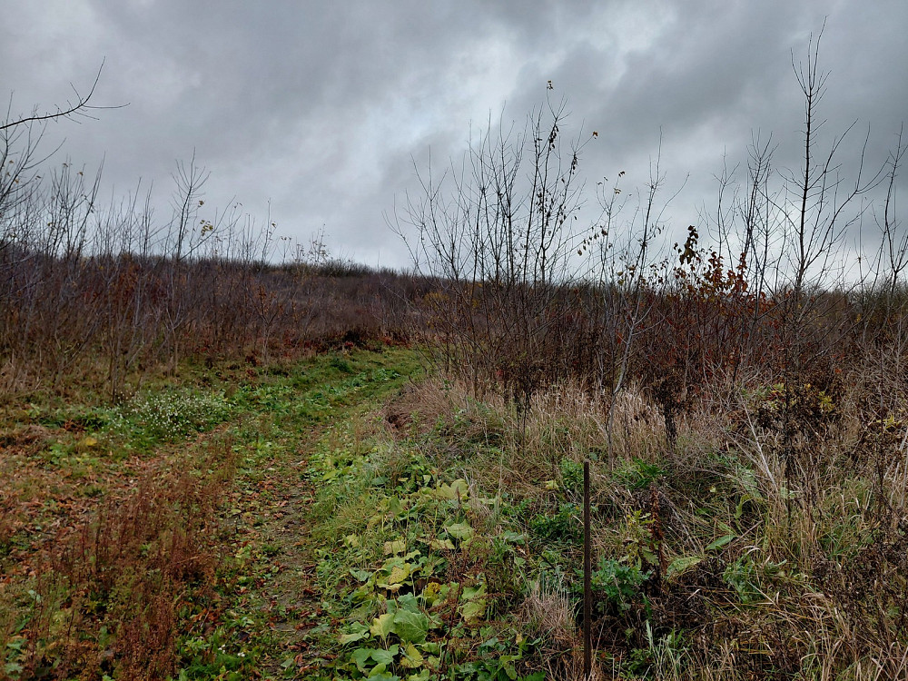 Продаж земельної ділянки 6 соток на вул. Микулинецька Тернопіль - фото 3