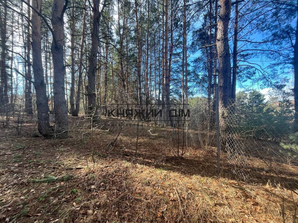 Продаж земельної ділянки 14 соток на вул. Котляревського Hlevakha - photo 4