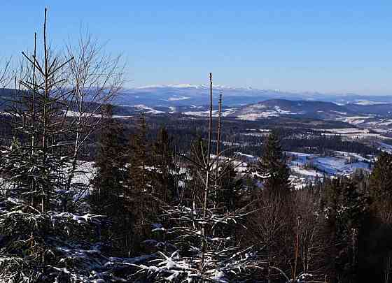 Продаж земельної ділянки 6 соток на вул. Лісна Oriavchyk