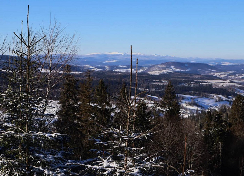 Продаж земельної ділянки 6 соток на вул. Лісна Орявчик - фото 3