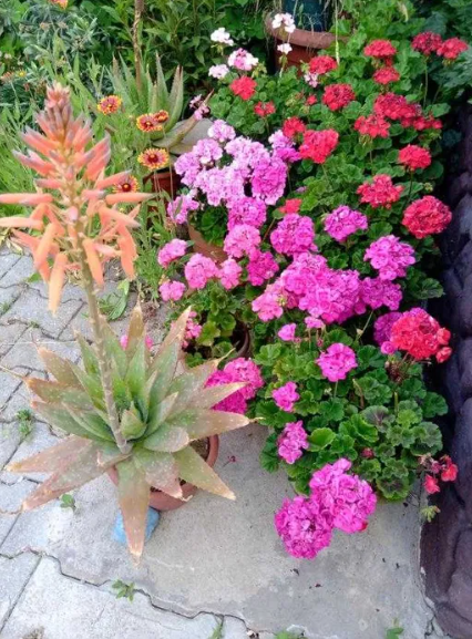 Продам 2-х этажный капитальный дом в с.Светлое (5 км от Одессы) Світле - фото 18