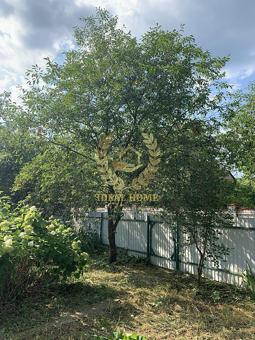 Продам будинок в селі Кодра Kodra - photo 13