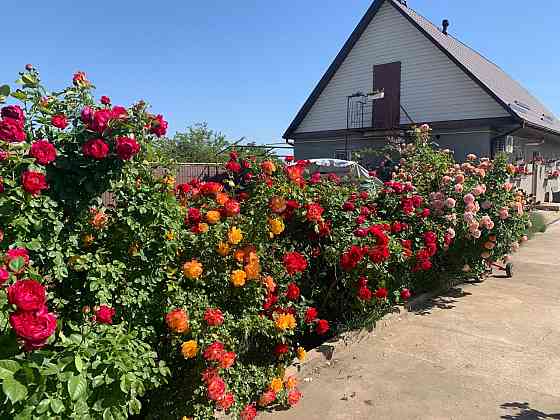 Предлагается к продаже уютный, одноэтажный частный дом в ближайшем пригороде Одессы Velyka Balka