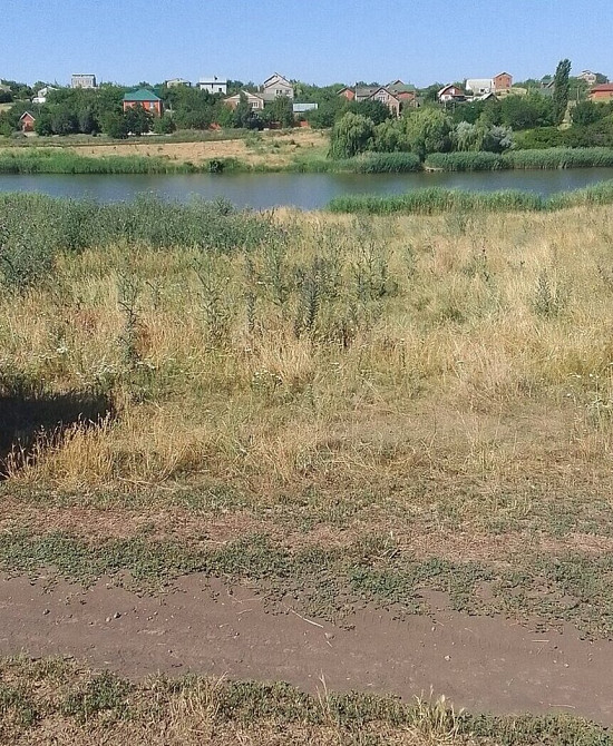 Продаж земельної ділянки 12 соток Бережинка (Кіровоградський район) - фото 1