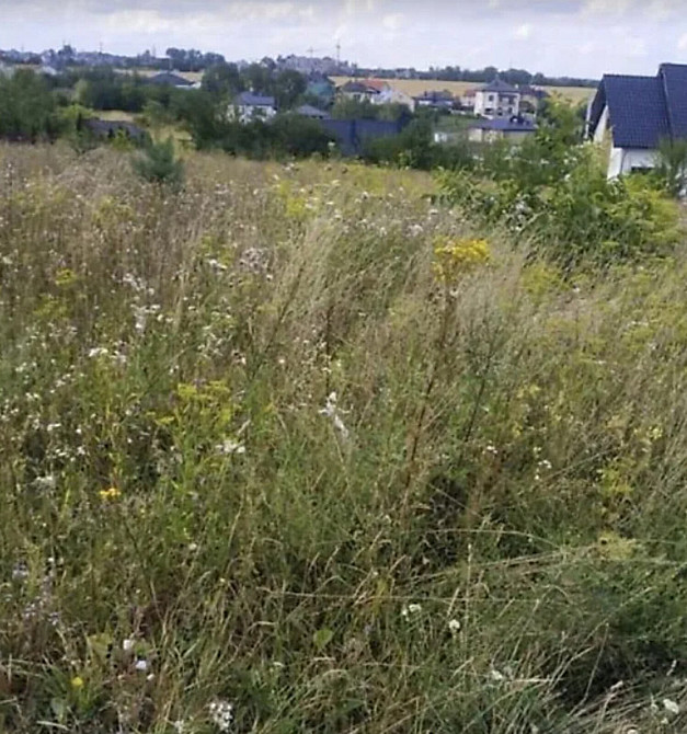 Продаж земельної ділянки 16 соток Байківці - фото 3