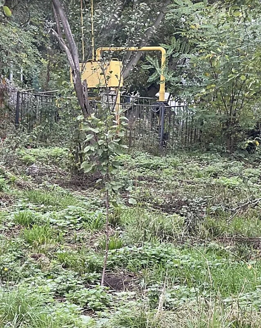 Продаж земельної ділянки 40 соток на Лугова Цвижин - изображение 4