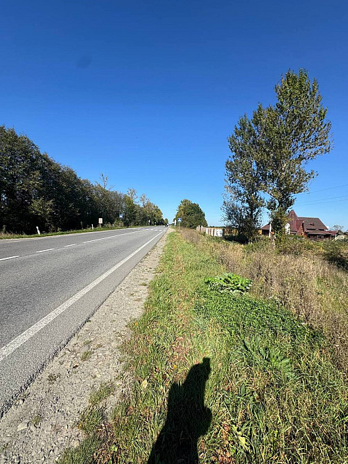 Продаж земельної ділянки 1.1 га Tsutsyliv - photo 3