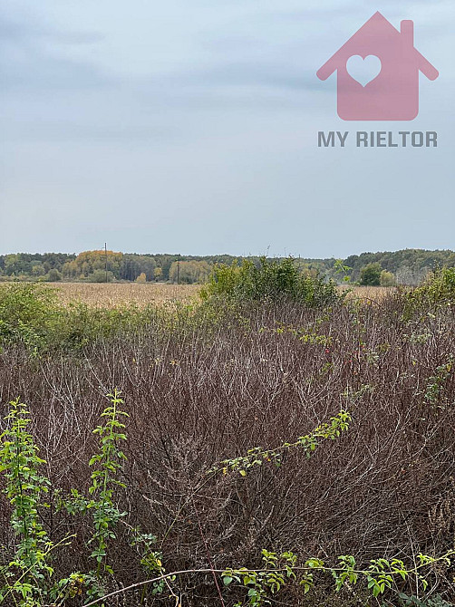 Продаж земельної ділянки 15 соток Tyihlash - photo 5