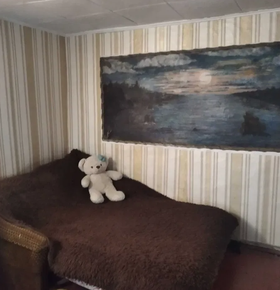 Продам дом-дачу в с.Светлое (5 км от Одессы) Світле - фото 4