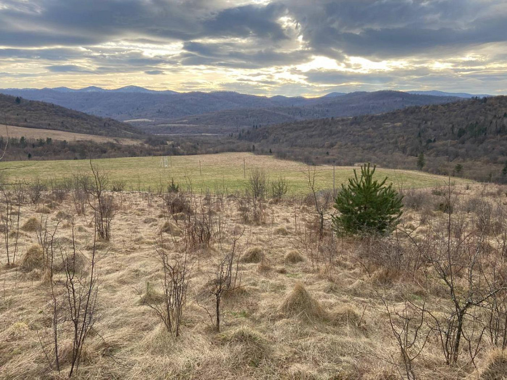 Продаж Квартира  - photo 8