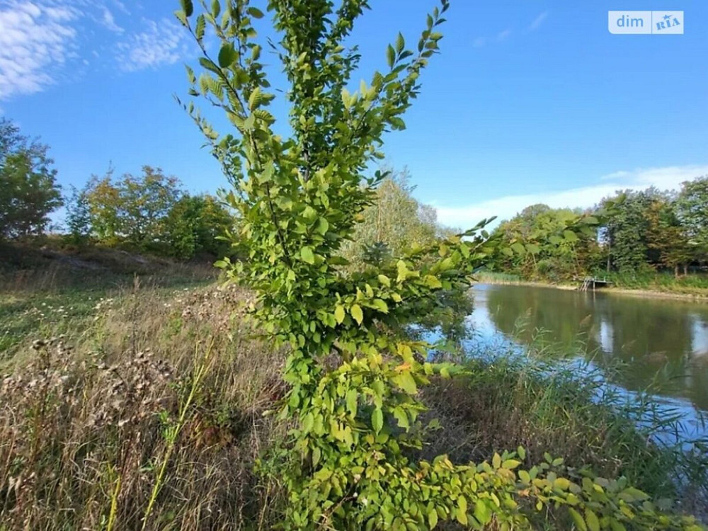 Продаж земельної ділянки 20 соток Vinnytsya - photo 2