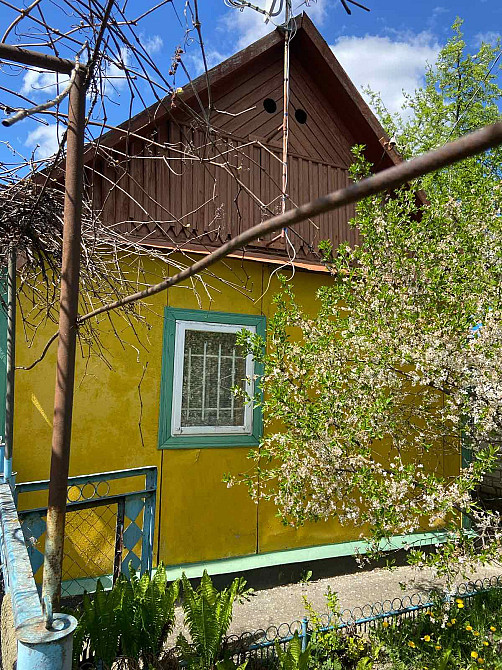 Продаж 1-поверховий Будинок з ділянкою 39 сот 50 кв.м 3 кімн. на Вертокиївка Zhytomyr - photo 4