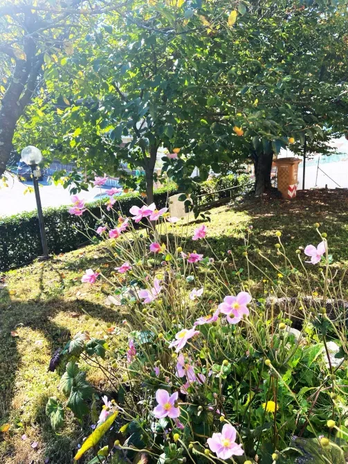 For sale 3-storey House with land 13 ares 180 sq.m 5 rooms at Via Eligio Porcu Venice - photo 14