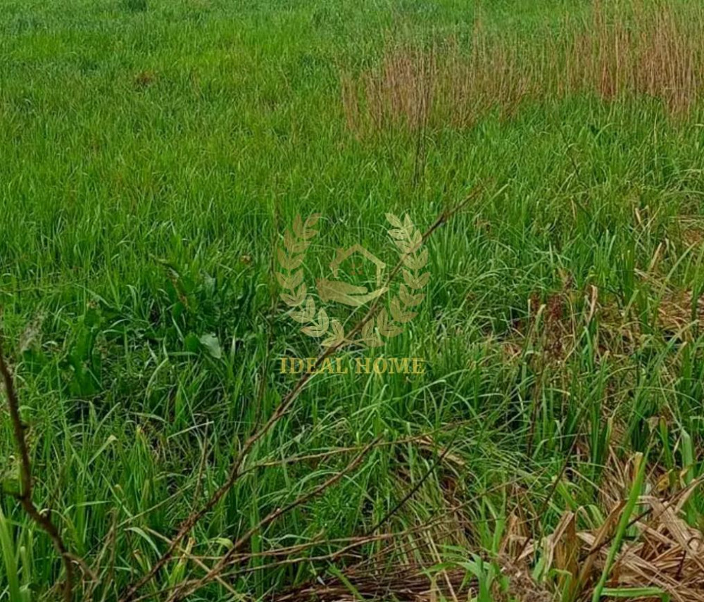 Продаж земельної ділянки 4 соток на Вишневая ул., 17 Yuriv - photo 2