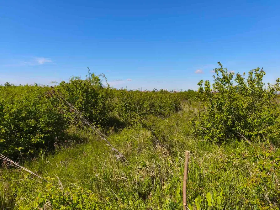 Продаж земельної ділянки Для сільськогосподарської діяльності площа 8 сот Польова Кінчеш - фото 10