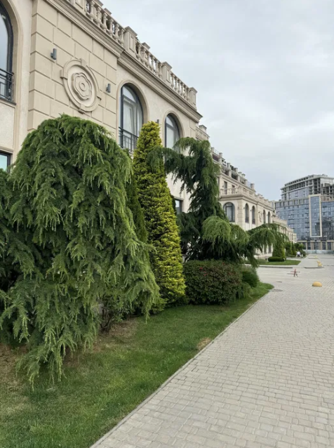 Продаж Квартира 3-кімнатна на переулок Майский пер., 6 Фонтанка - фото 2