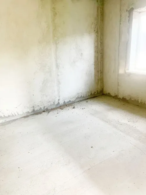 Продаж 1-поверховий Будинок з ділянкою 4 сот 50 кв.м 2 кімн. на Красноселка Одеса - фото 6