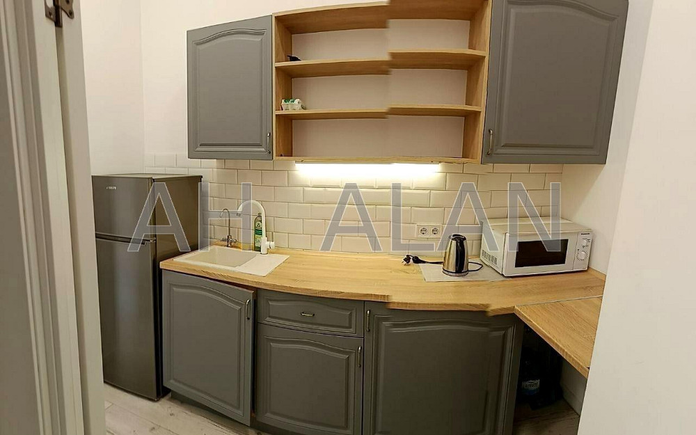 Оренда Будинок 1-кімнатний на Велика Васильківська вул., 23А Київ - фото 5