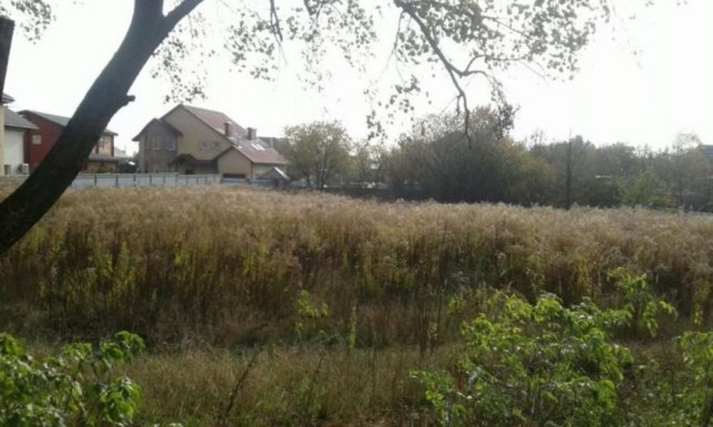 Продаж земельної ділянки 15 соток  - фото 1