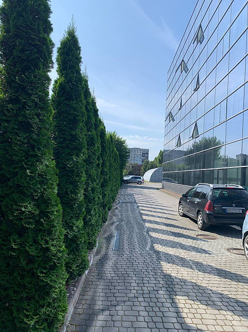 Оренда приміщення вільного призначення на Легоцького поверх - 3/4 Uzhhorod - photo 7