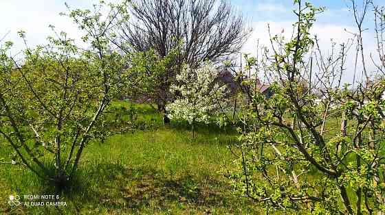 Продаж земельної ділянки 0.1 соток на ул. Мицкевича, 133 Protopopivka