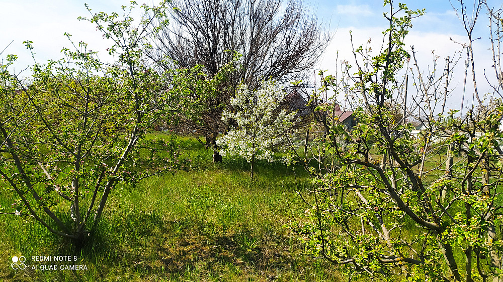 Продаж земельної ділянки 0.1 соток на ул. Мицкевича, 133 Протопопівка - фото 3