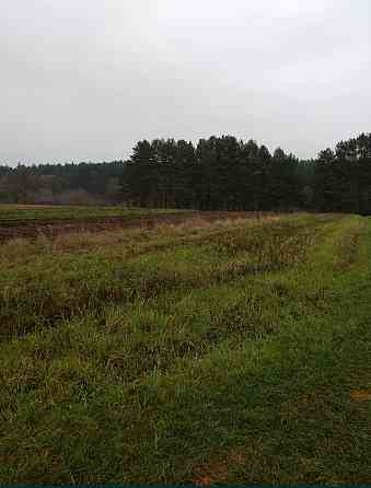 Продаж земельної ділянки 15 соток на Левков Житомир