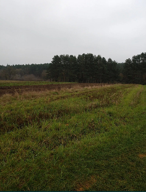 Продаж земельної ділянки 15 соток на Левков Житомир - фото 1