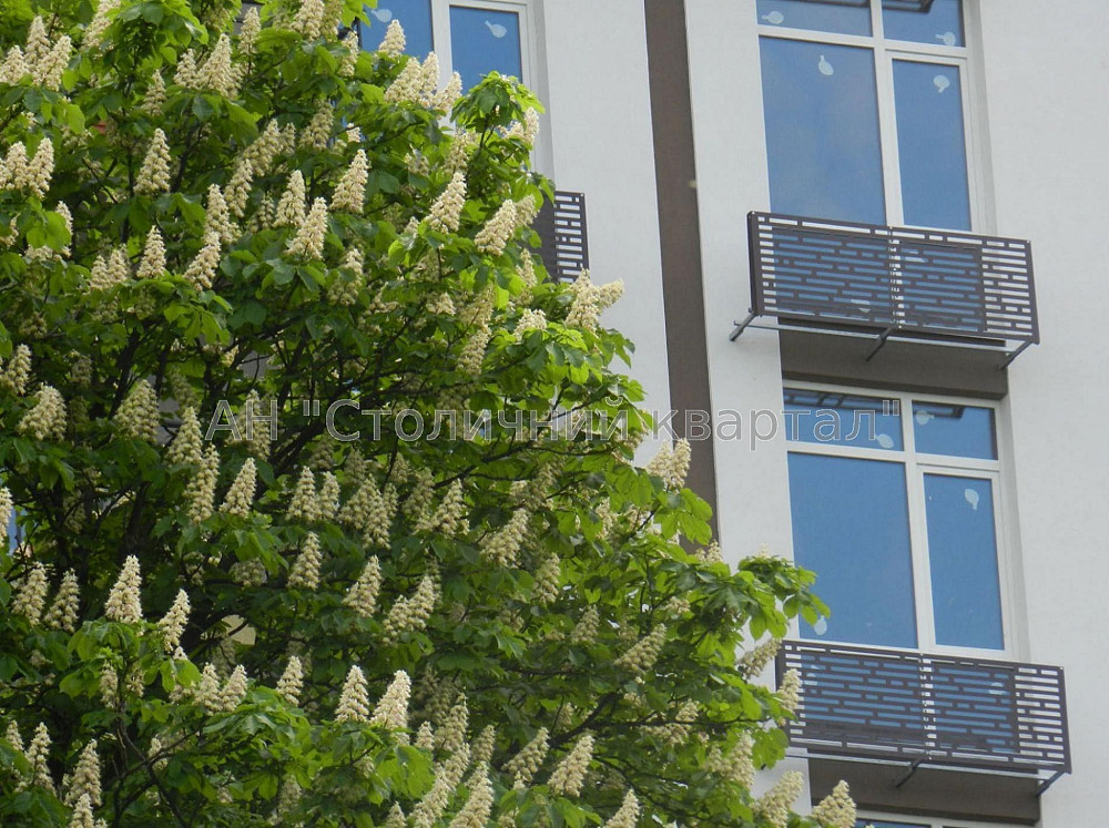 Продаж Будинок 2-кімнатний на вул. Заболотного Академіка Киев - изображение 5